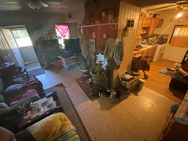 a room with furniture and a potted plant