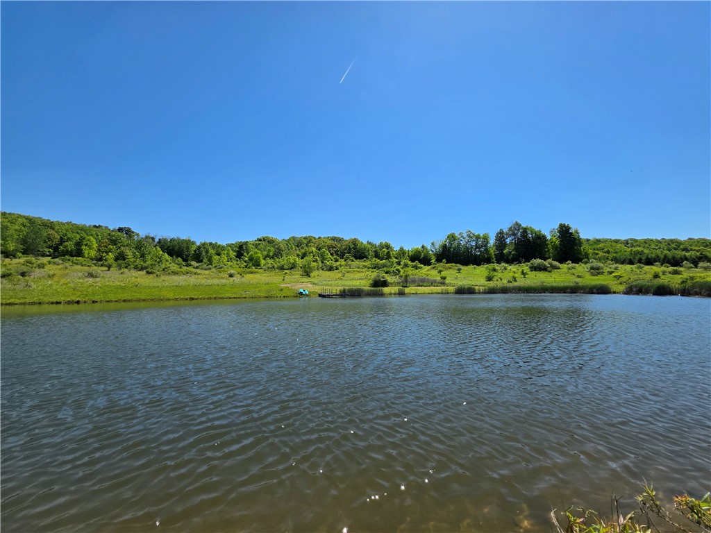 1069 Bollen Road, Unit 1066 Troupsburg, NY 14885 - Photo 15 of 19