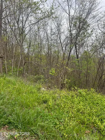 $29,000 | Lot 8 Hickory Point Lane, Maynardville, TN 37807
