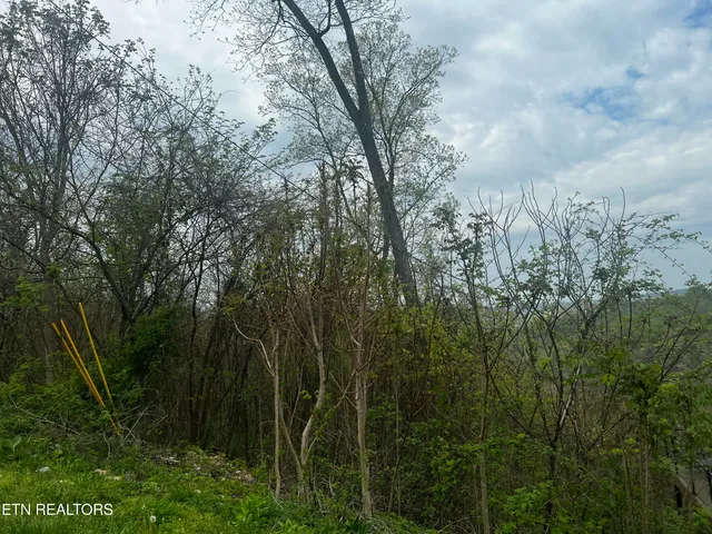 $29,000 | Lot 8 Hickory Point Lane, Maynardville, TN 37807