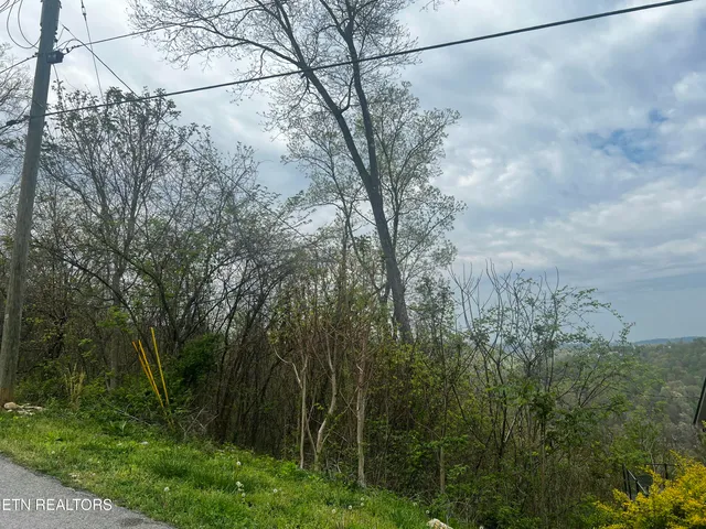 $29,000 | Lot 8 Hickory Point Lane, Maynardville, TN 37807