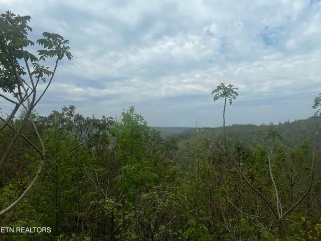 $29,000 | Lot 8 Hickory Point Lane, Maynardville, TN 37807