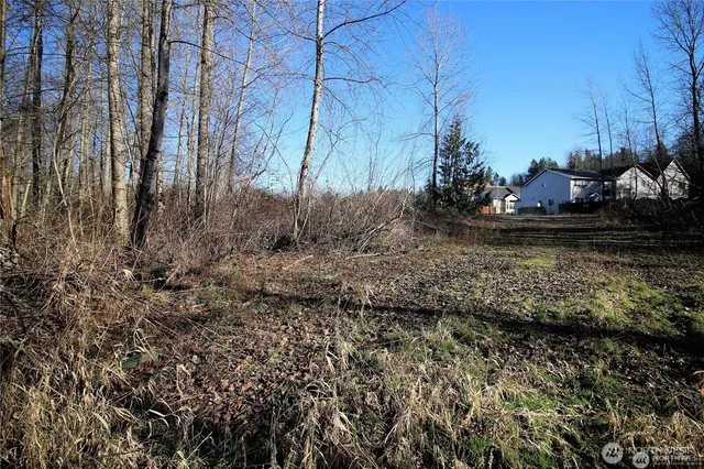 a view of a yard with wooden fence