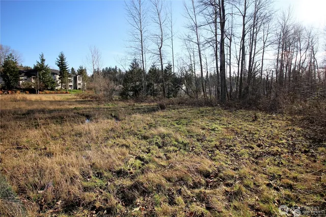 a view of outdoor space with trees