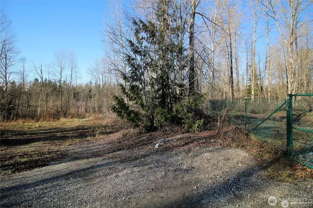a view of a yard with trees