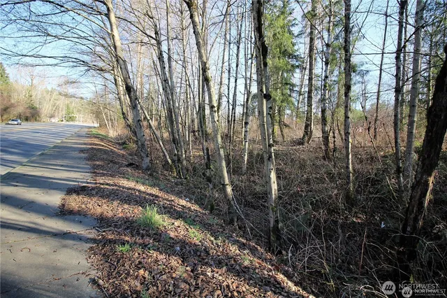 a view of a yard with plants and trees