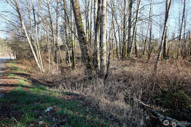 a view of a yard with a tree