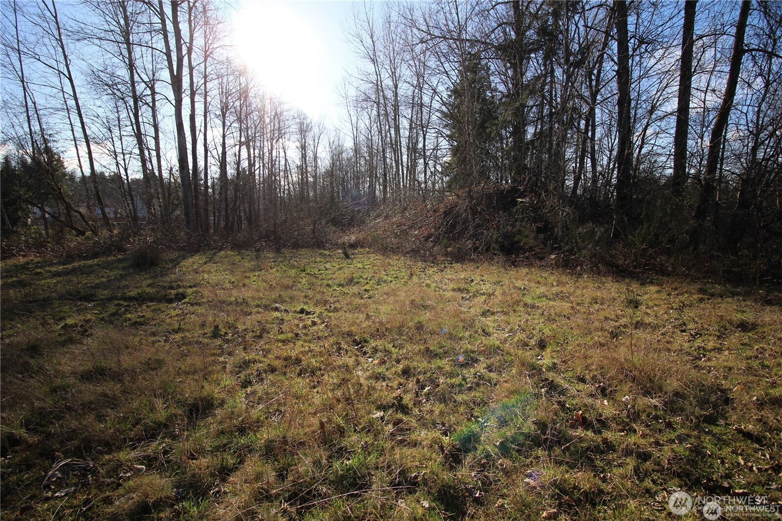 13419 Southeast Petrovitsky Road Renton, WA 98058 - Photo 19 of 21 a view of outdoor space and yard