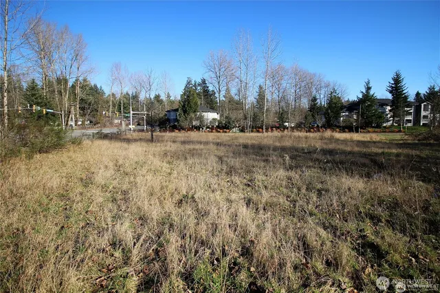 a view of a field with trees in the background