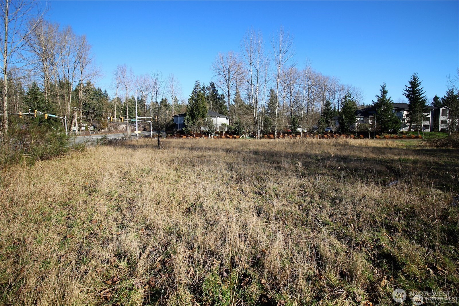 13419 Southeast Petrovitsky Road Renton, WA 98058 - Photo 2 of 21 a view of a field with trees in the background