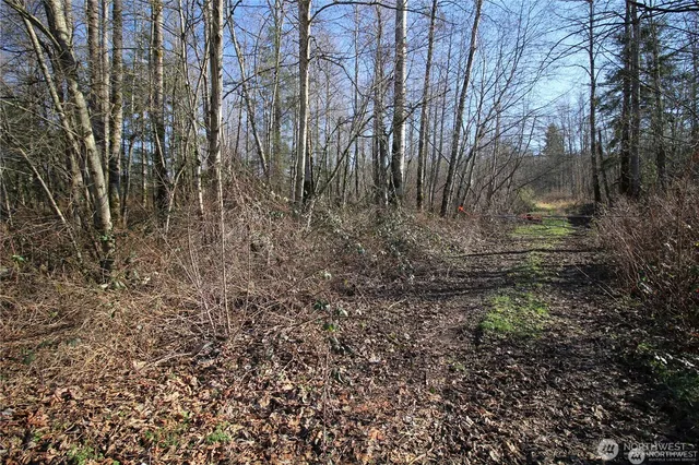 a view of a yard with lots of bushes