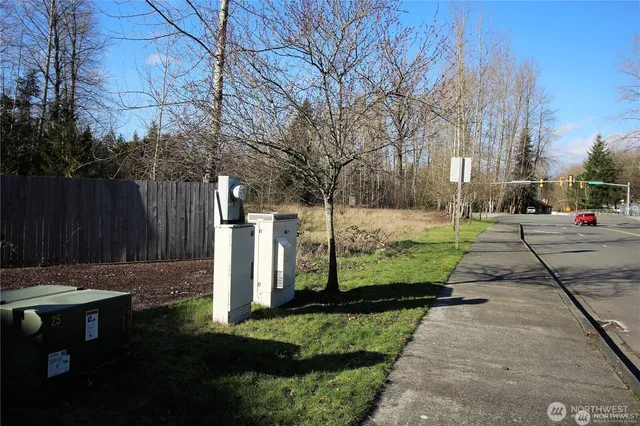 a view of a park with large trees
