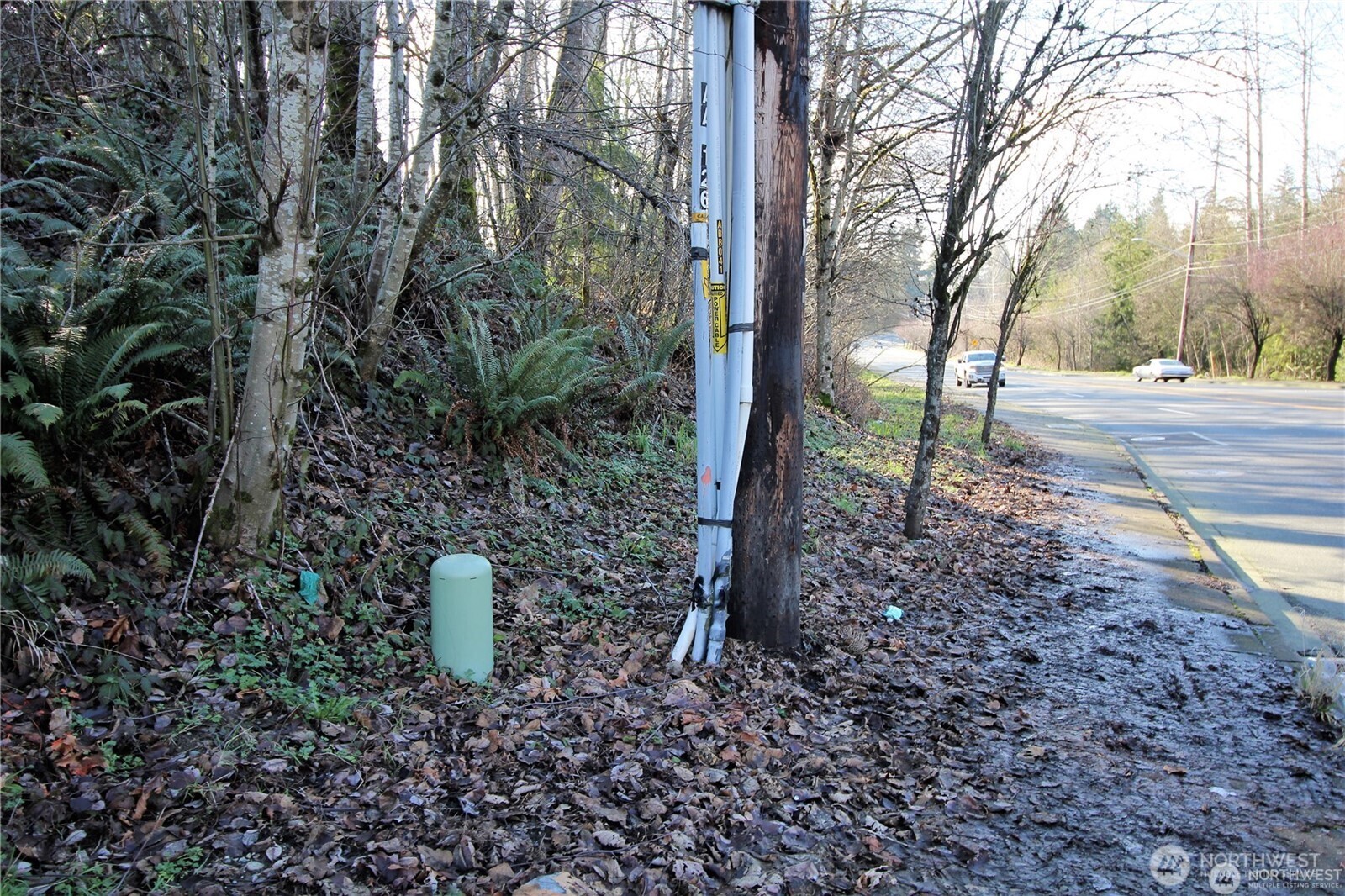 13419 Southeast Petrovitsky Road Renton, WA 98058 - Photo 5 of 21 a view of a trees in a yard