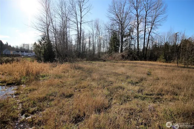 a view of backyard with green space