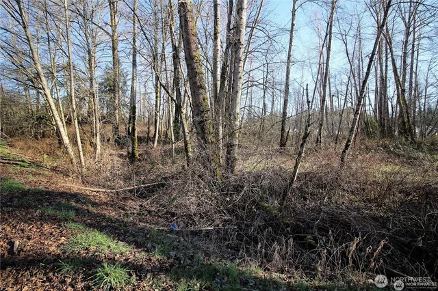 a view of backyard with green space