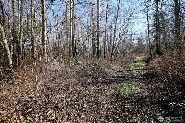 a view of a yard with plants