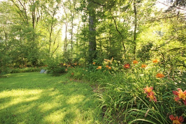 111 Chestnut Street Amherst, MA 01002 - Photo 6 of 30