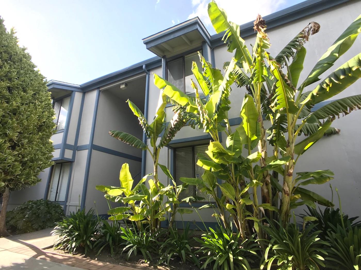 1925 46th Avenue, Unit 60 Capitola, CA 95010 - Photo 24 of 26 a plant that is in front of a building