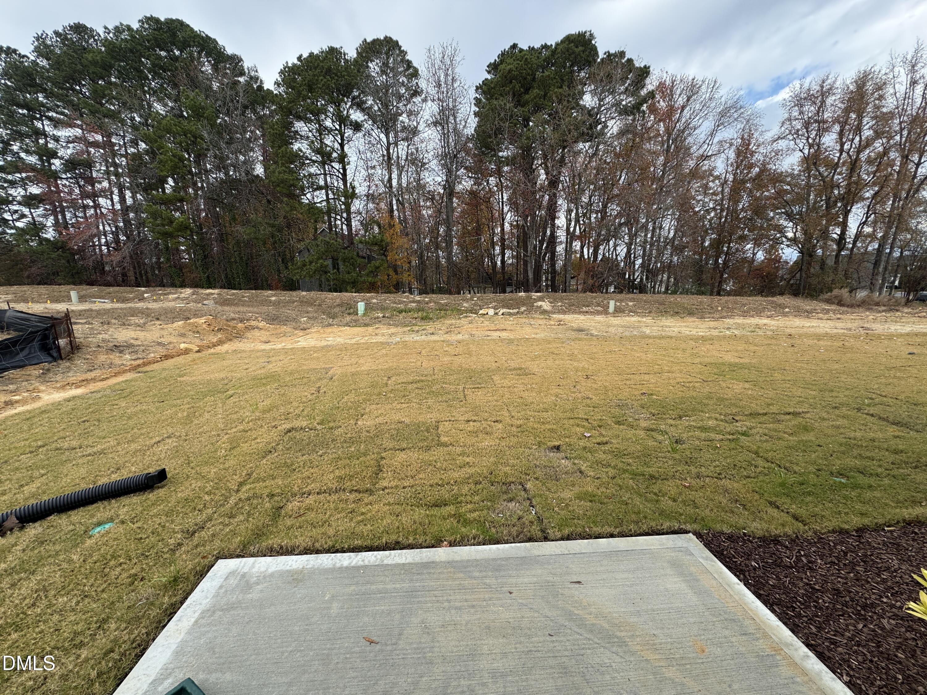 413 Belgian Red Way Wake Forest, NC 27587 - Photo 18 of 19 a view of swimming pool with trees in the background