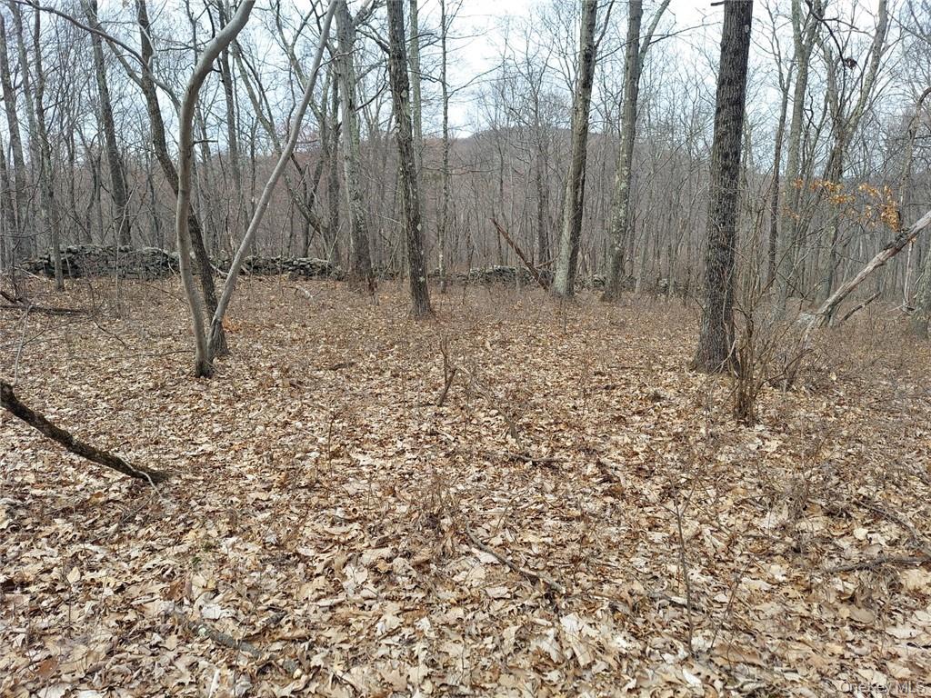 489 Grape Hollow Road Holmes, NY 12531 - Photo 12 of 24 Gallery Image 12