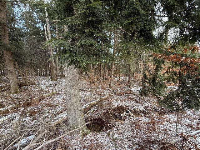 124 Utah Road Sheffield, PA 16347 - Photo 28 of 32 Gallery Image 28