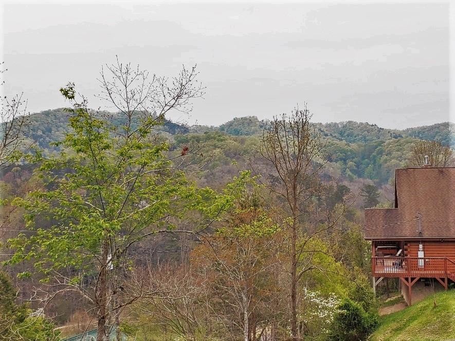 6061 Red Cedar Lane Sevierville, TN 37876 - Photo 8 of 9