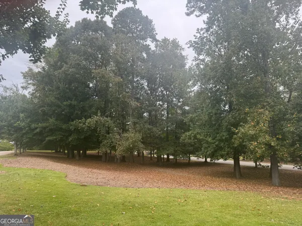 a view of yard with green space and trees in the background
