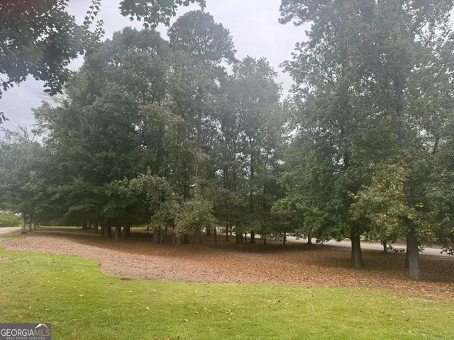 a view of yard with green space and trees in the background