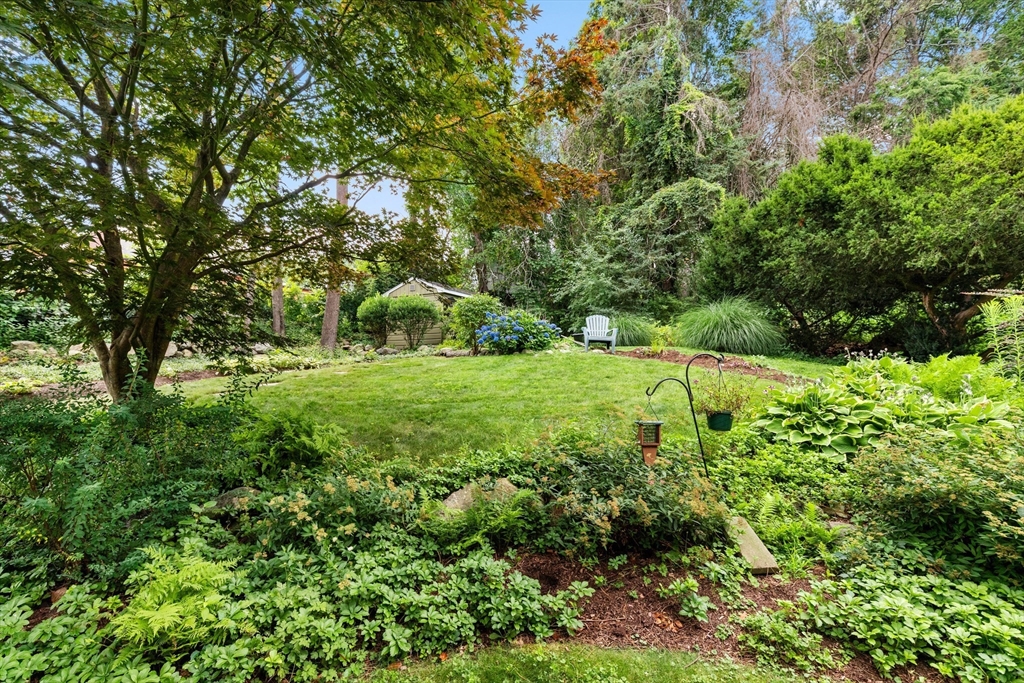 58 Hutchinson Road Arlington, MA 02474 - Photo 40 of 40 a view of a garden with a bench