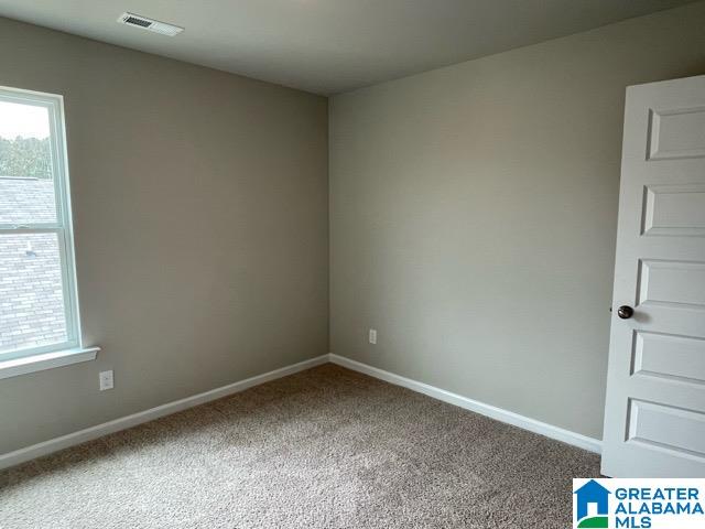 102 Old Shell Road Meridianville, AL 35759 - Photo 28 of 29
