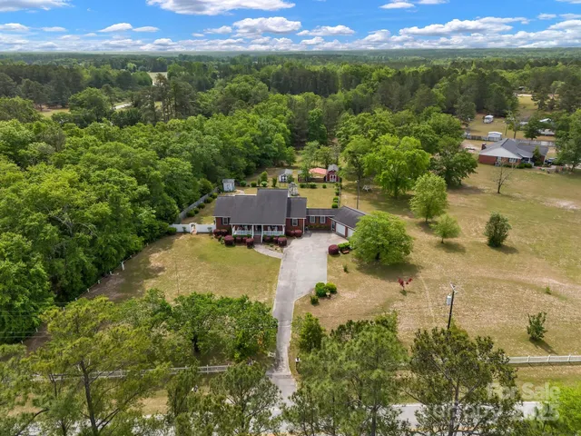 a view of a big yard with plants and large trees