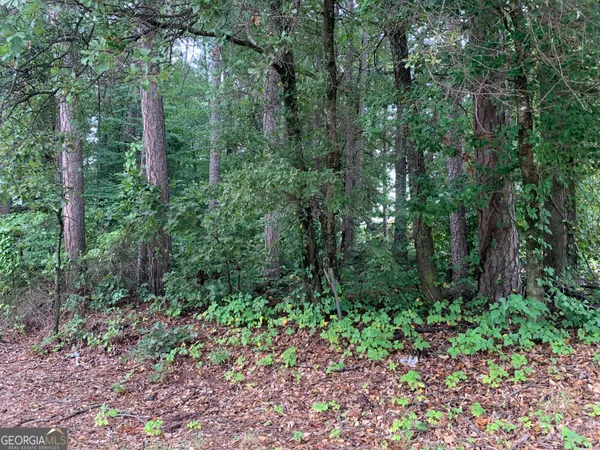 a view of a garden with trees