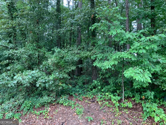a view of a garden with trees