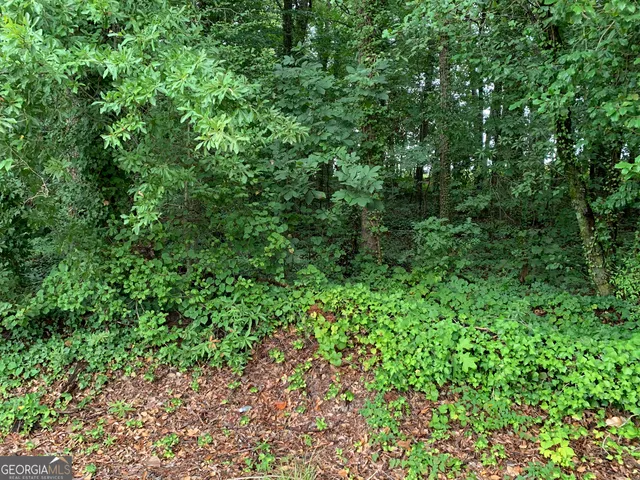 $100,000 | 0 Hwy 17 Alt Toccoa Ga 30577, Toccoa, GA 30577