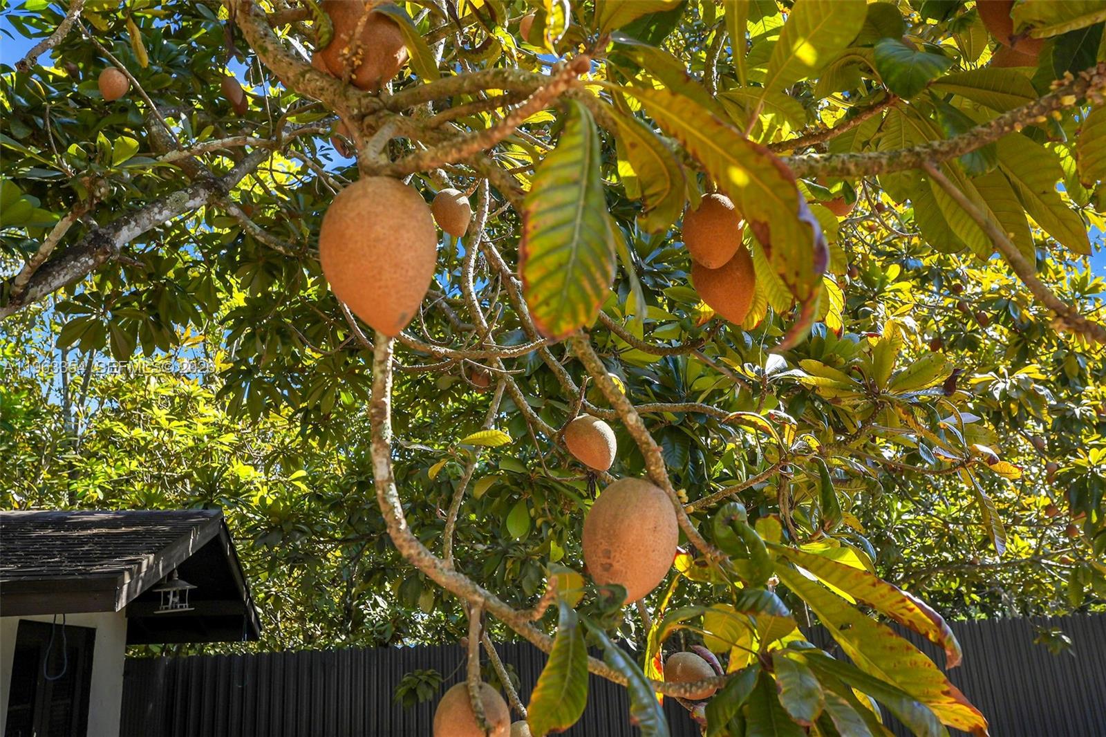 19955 Southwest 186th Street Miami, FL 33187 - Photo 13 of 35