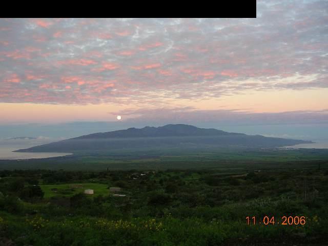 420 Calasa Road Kula, HI 96790 - Photo 2 of 2 a view of an outdoor and trees
