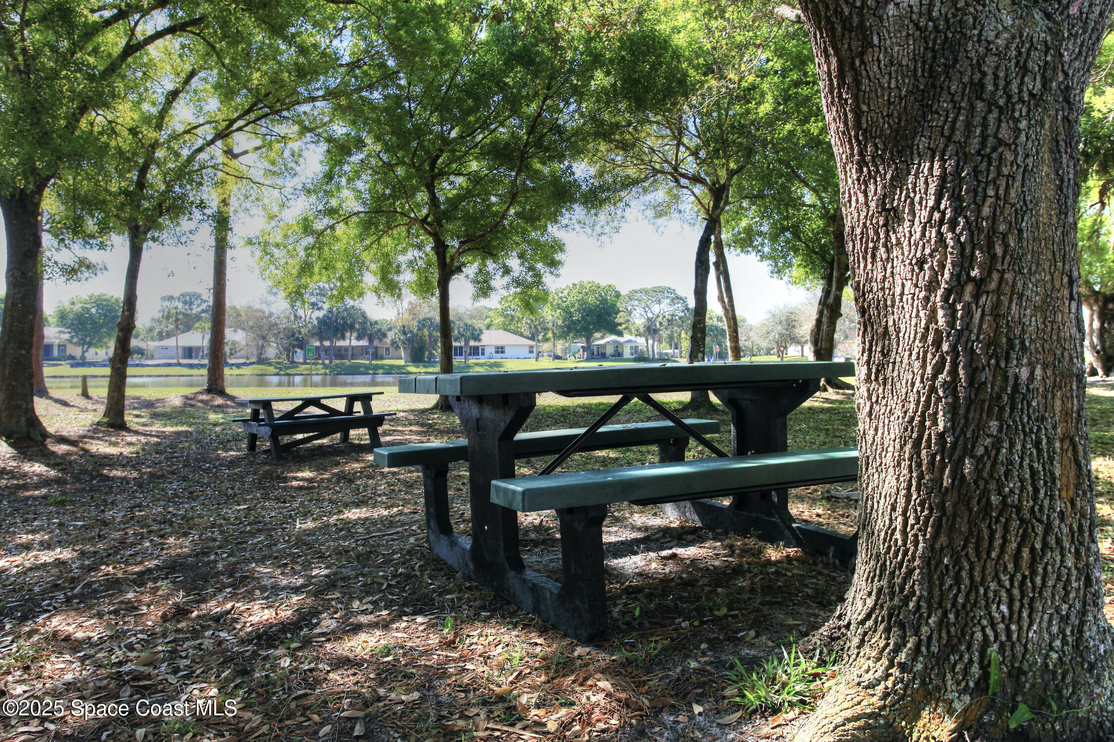 443 Lanfair Avenue Sebastian, FL 32958 - Photo 30 of 33 a view of a bench in a backyard