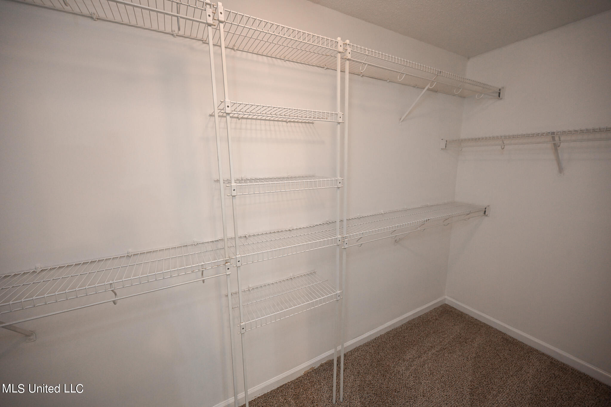 8860 Bell Ridge Drive Olive Branch, MS 38654 - Photo 25 of 36 Primary Closet
