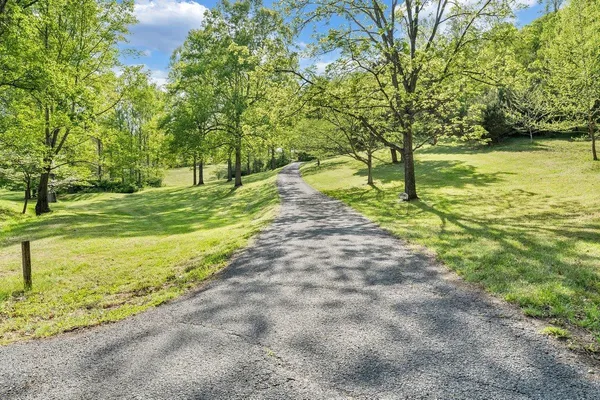 a backyard of a house with lots of green space and trees all around