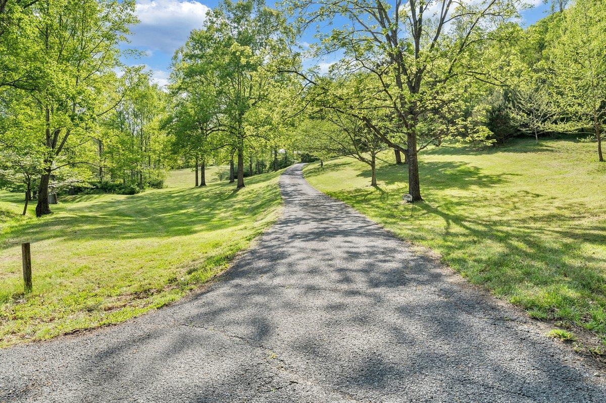 649 Greyledge Road Buchanan, VA 24066 - Photo 11 of 75 a view of a yard with an trees