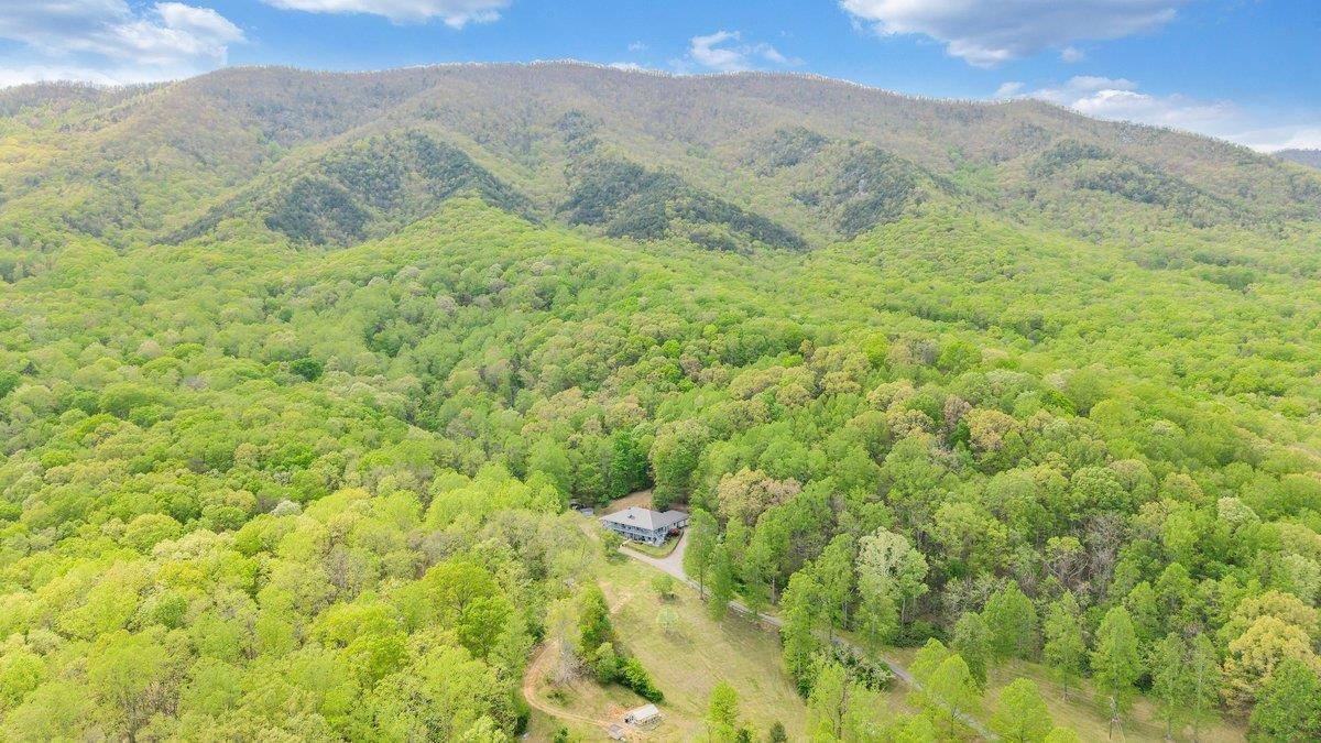 649 Greyledge Road Buchanan, VA 24066 - Photo 18 of 75
