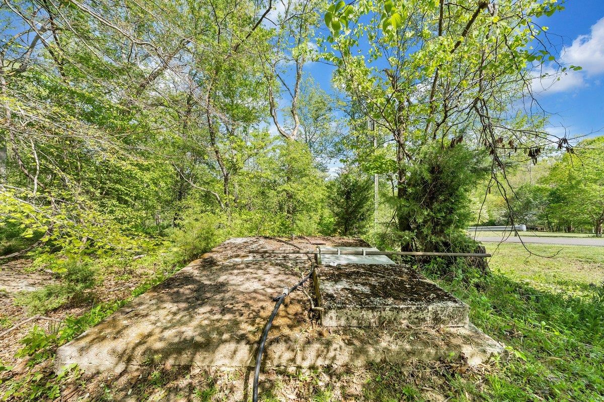 649 Greyledge Road Buchanan, VA 24066 - Photo 19 of 75 a backyard of a house with lots of green space and trees all around