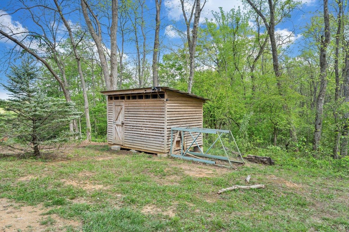 649 Greyledge Road Buchanan, VA 24066 - Photo 20 of 75 a view of a backyard with plants and large trees
