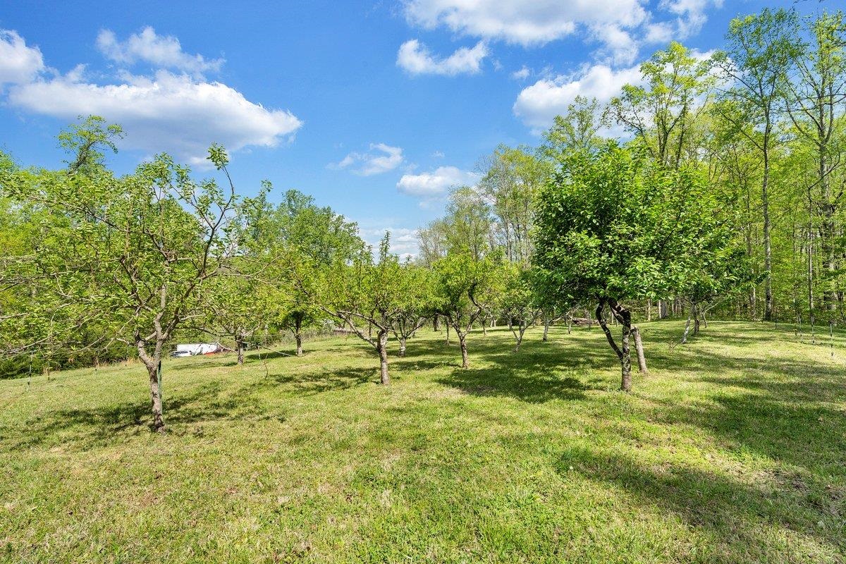 649 Greyledge Road Buchanan, VA 24066 - Photo 24 of 75 a swimming pool with trees in the background