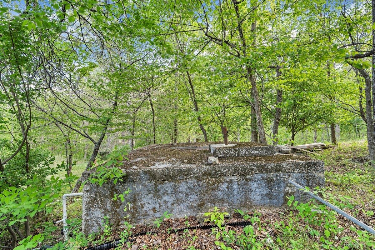 649 Greyledge Road Buchanan, VA 24066 - Photo 25 of 75