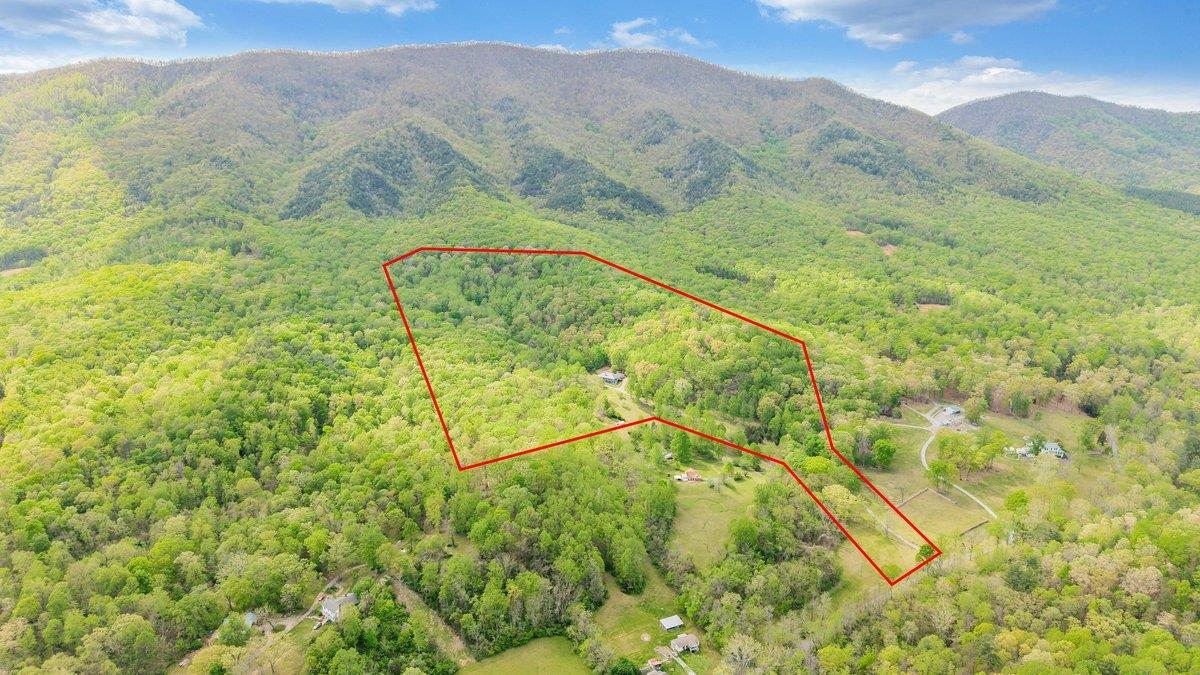 649 Greyledge Road Buchanan, VA 24066 - Photo 7 of 75