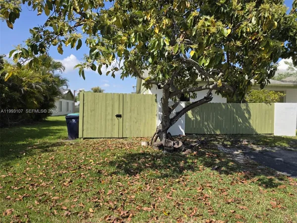 a view of a tree in front of a tree