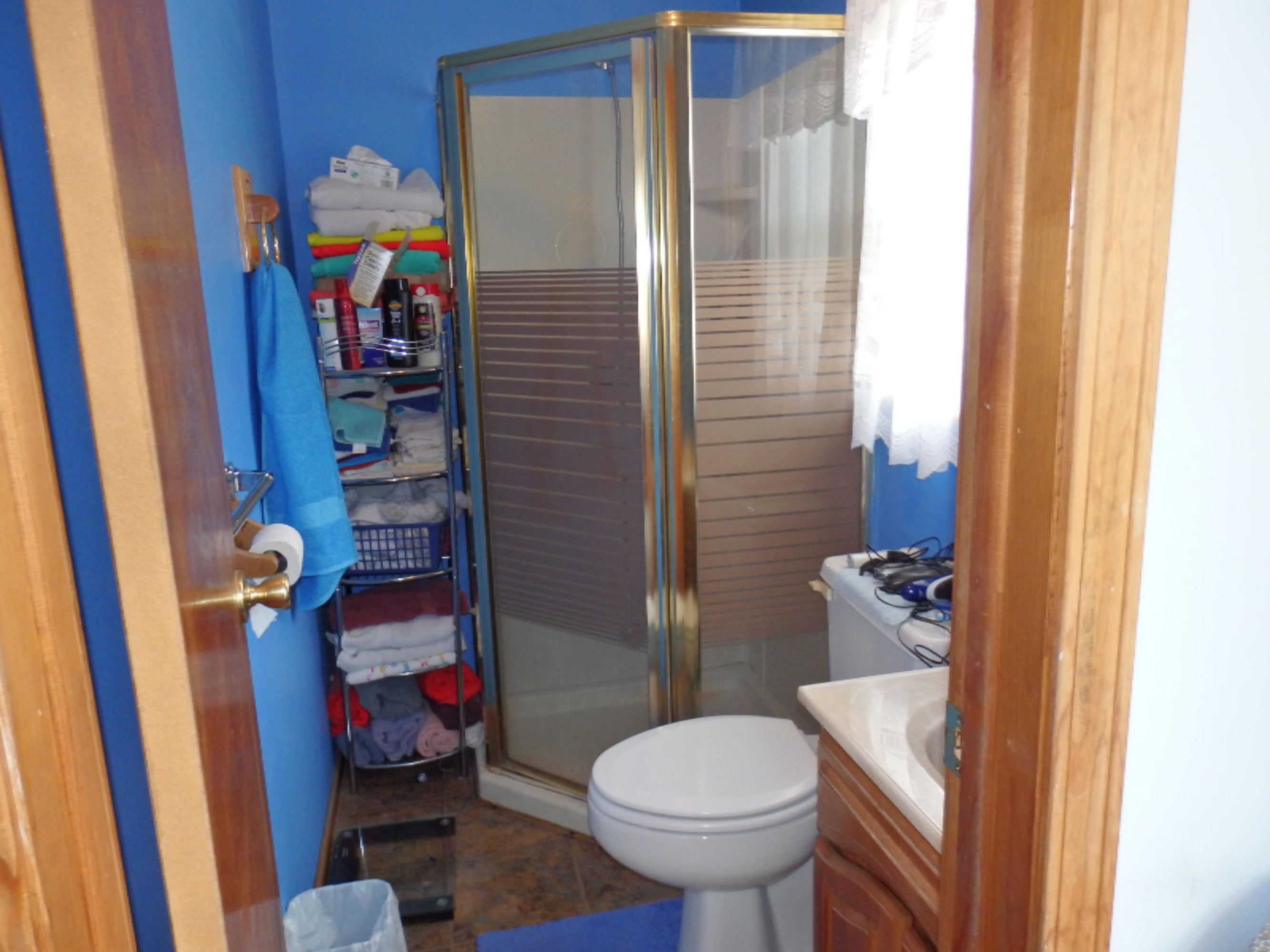 175 Snyder Road Wellston, MI 49689 - Photo 17 of 38 Master bath