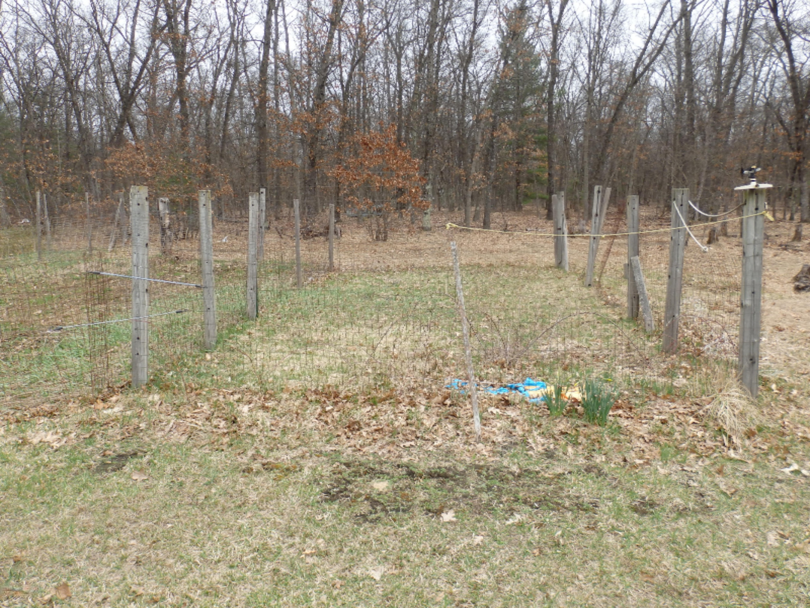 175 Snyder Road Wellston, MI 49689 - Photo 25 of 38 P4130138