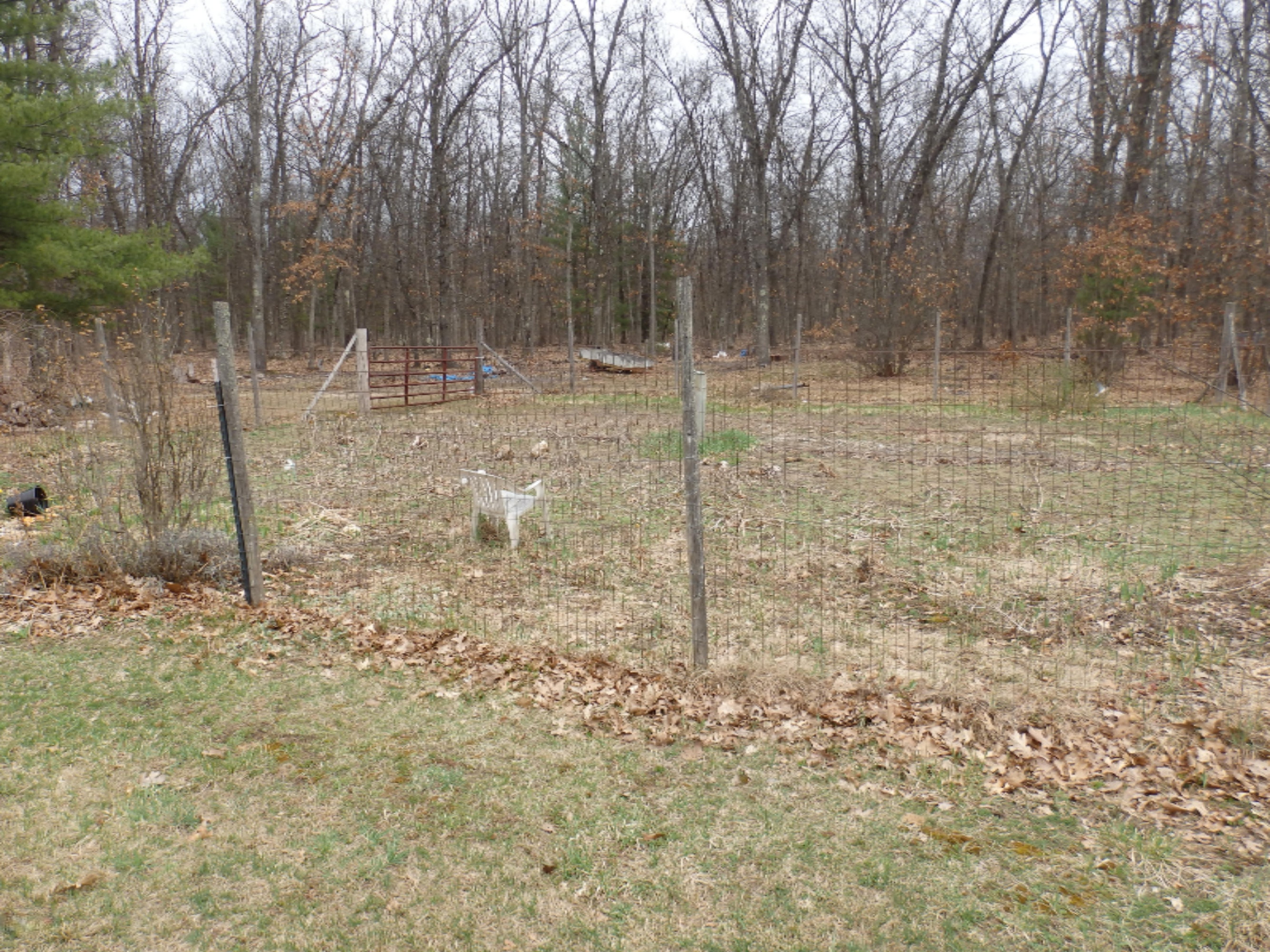 175 Snyder Road Wellston, MI 49689 - Photo 28 of 38 P4130139